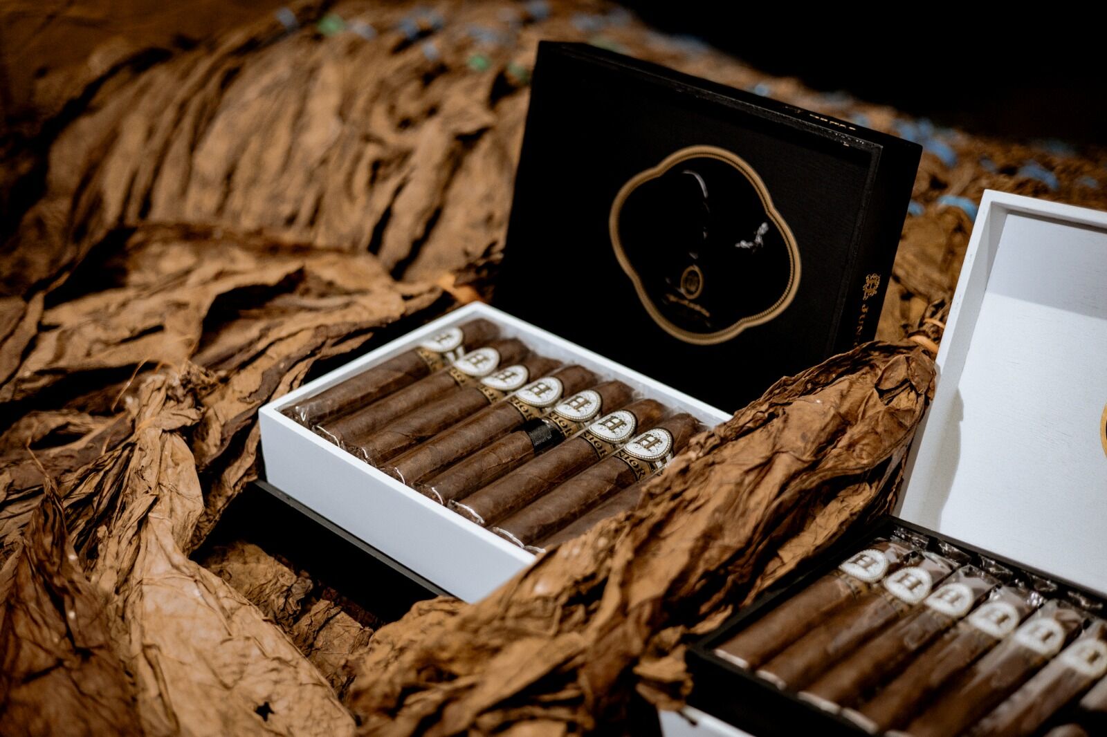 An open H Junior box of cigars resting on tobacco leaves